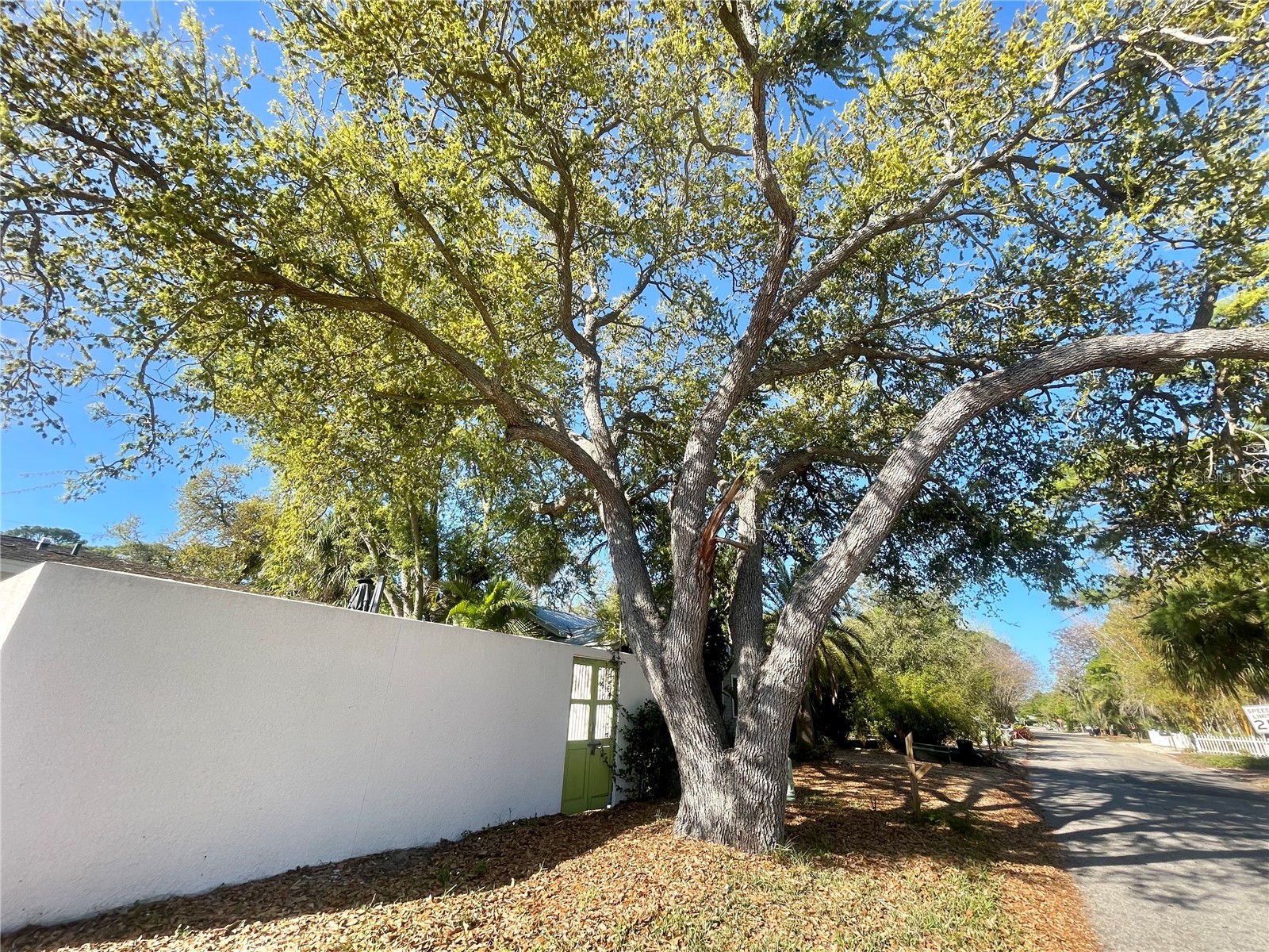 1330 S Jefferson Avenue Sarasota FL 34239 A4685616 image32