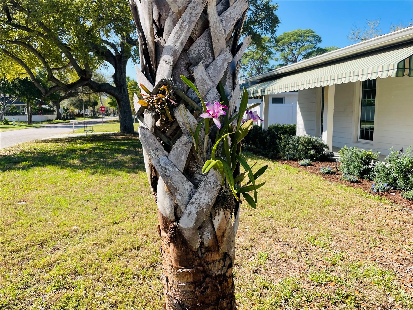 1330 S Jefferson Avenue Sarasota FL 34239 A4685616 image35