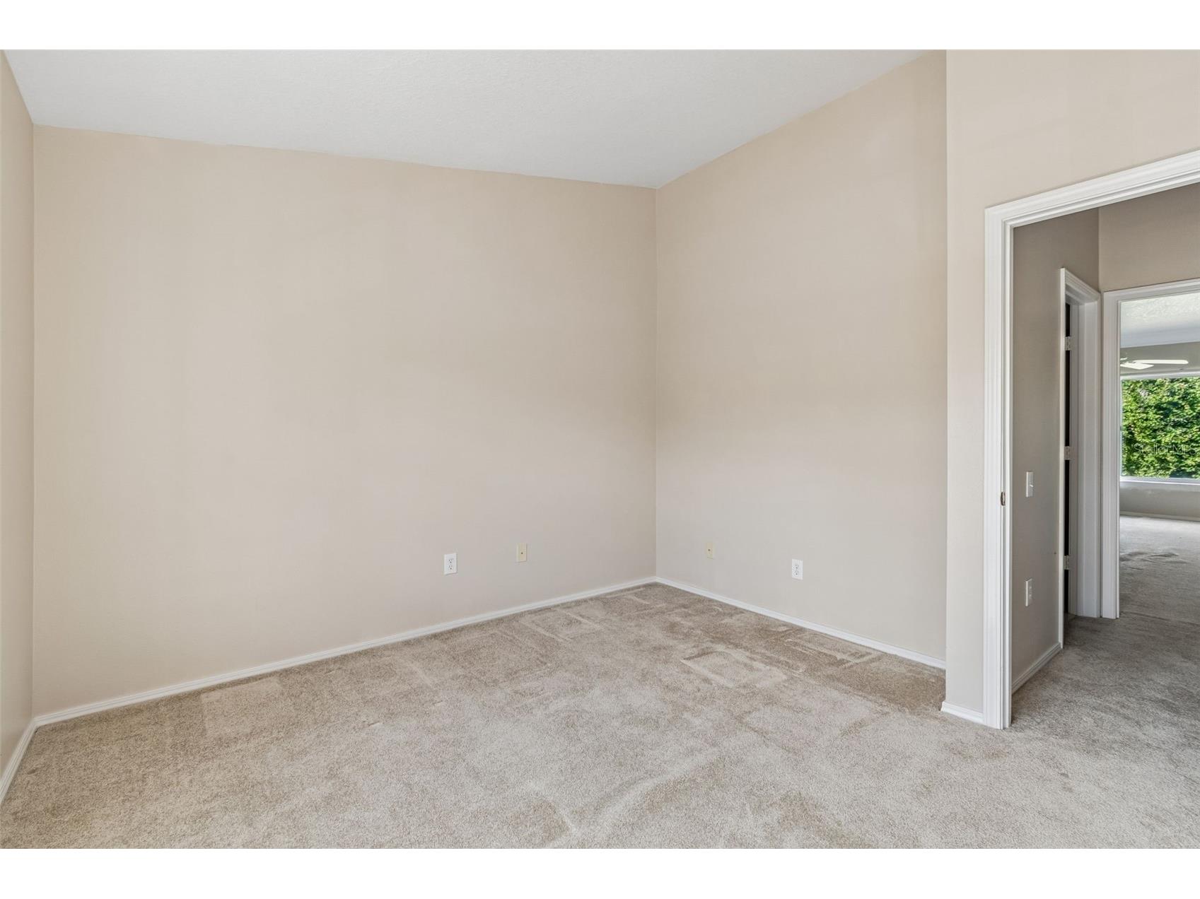 1330 Standridge Drive Wesley Chapel FL 33543 TB8511538 image21