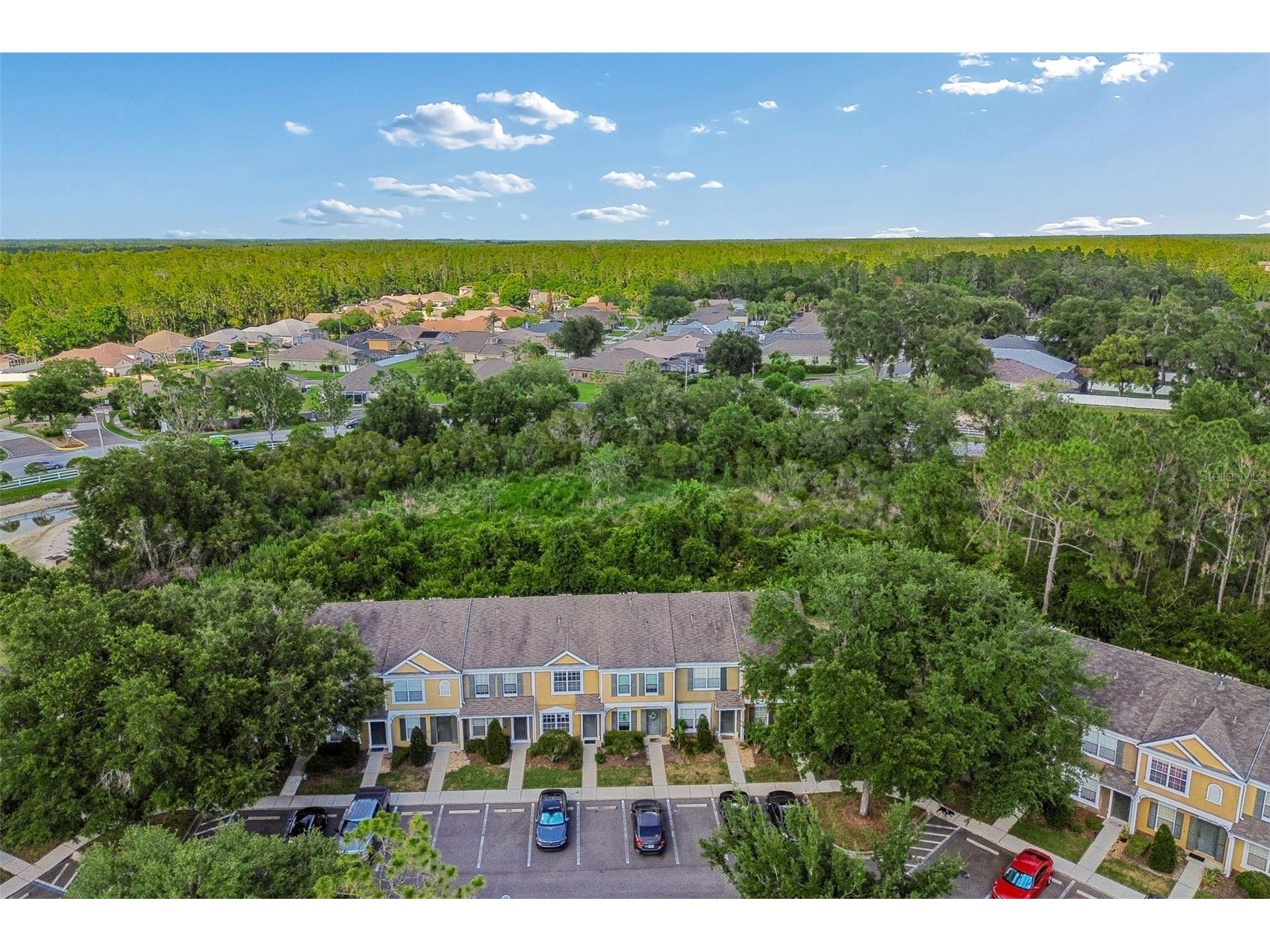1330 Standridge Drive Wesley Chapel FL 33543 TB8511538 image41