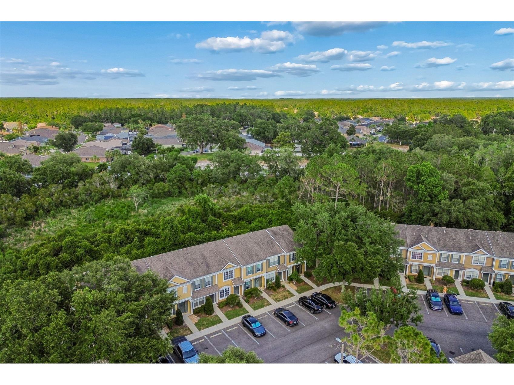 1330 Standridge Drive Wesley Chapel FL 33543 TB8511538 image42