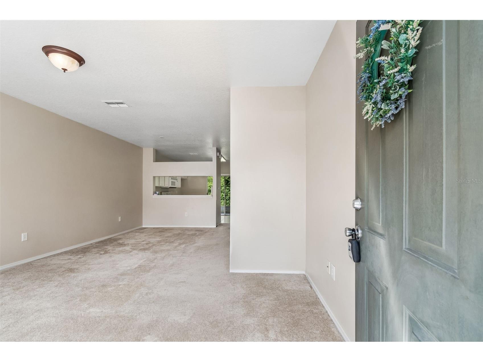 1330 Standridge Drive Wesley Chapel FL 33543 TB8511538 image8