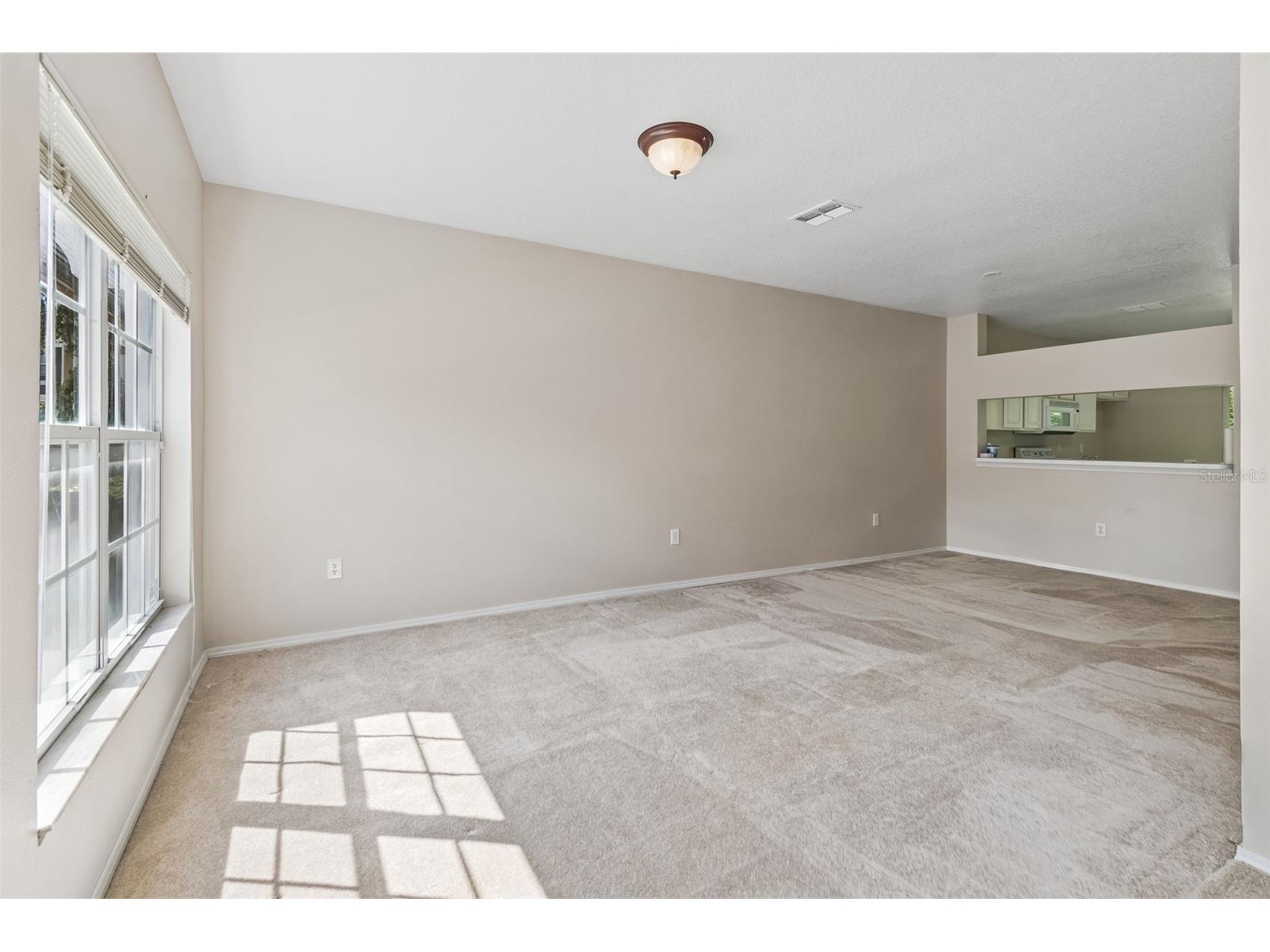 1330 Standridge Drive Wesley Chapel FL 33543 TB8511538 image9