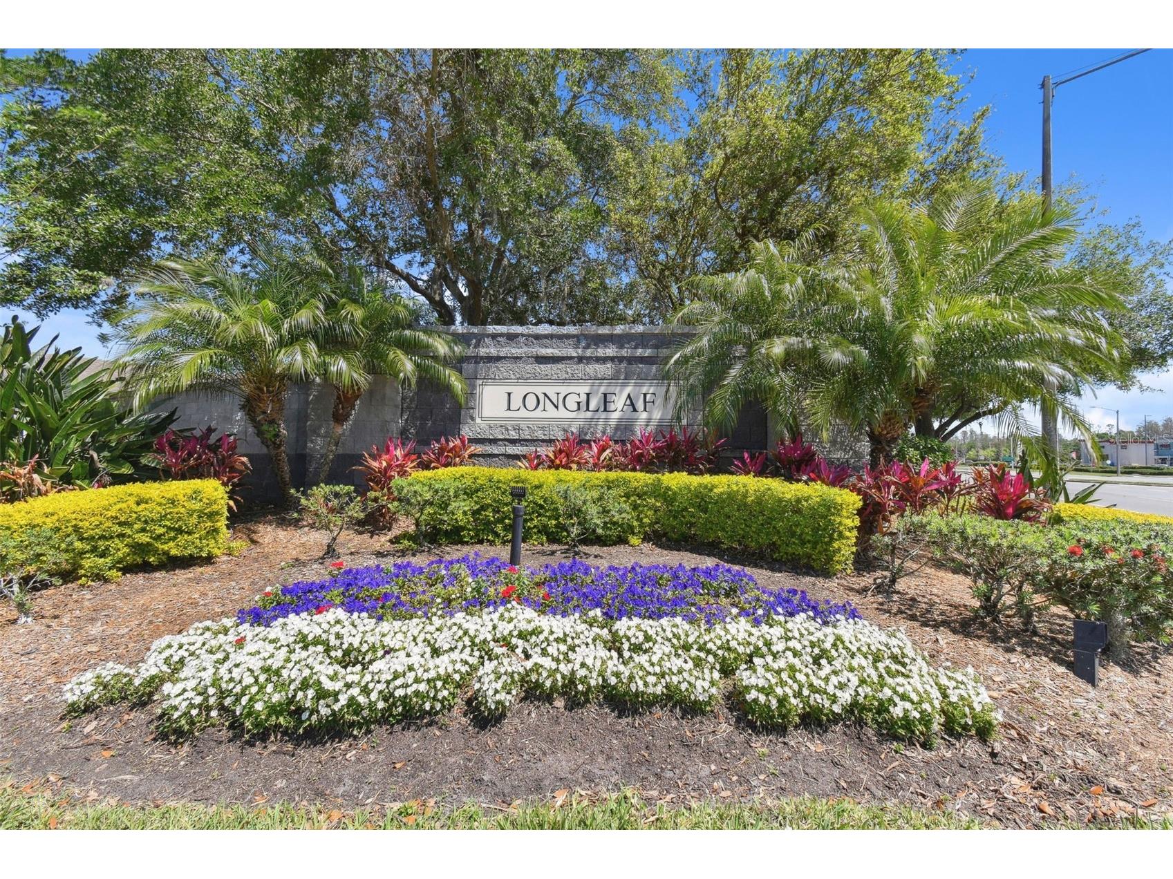 1330 Standridge Drive Wesley Chapel FL 33543 TB8511538 image92