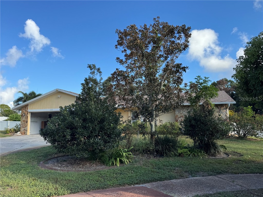 1330 Sunset Court Tarpon Springs FL 34689 TB8435775 image2