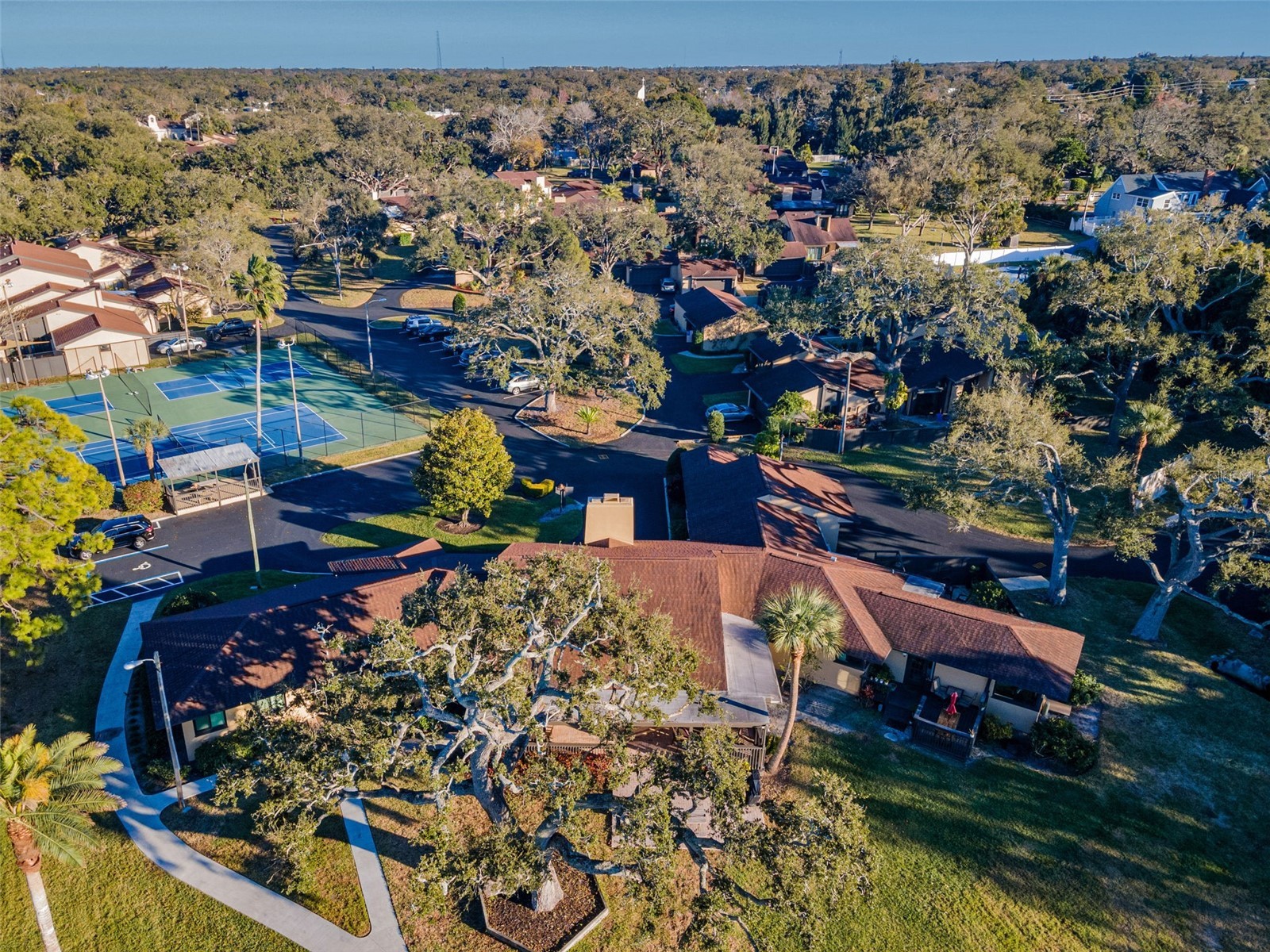 13300 Indian Rocks Road #101 Largo FL 33774 TB8468292 image72