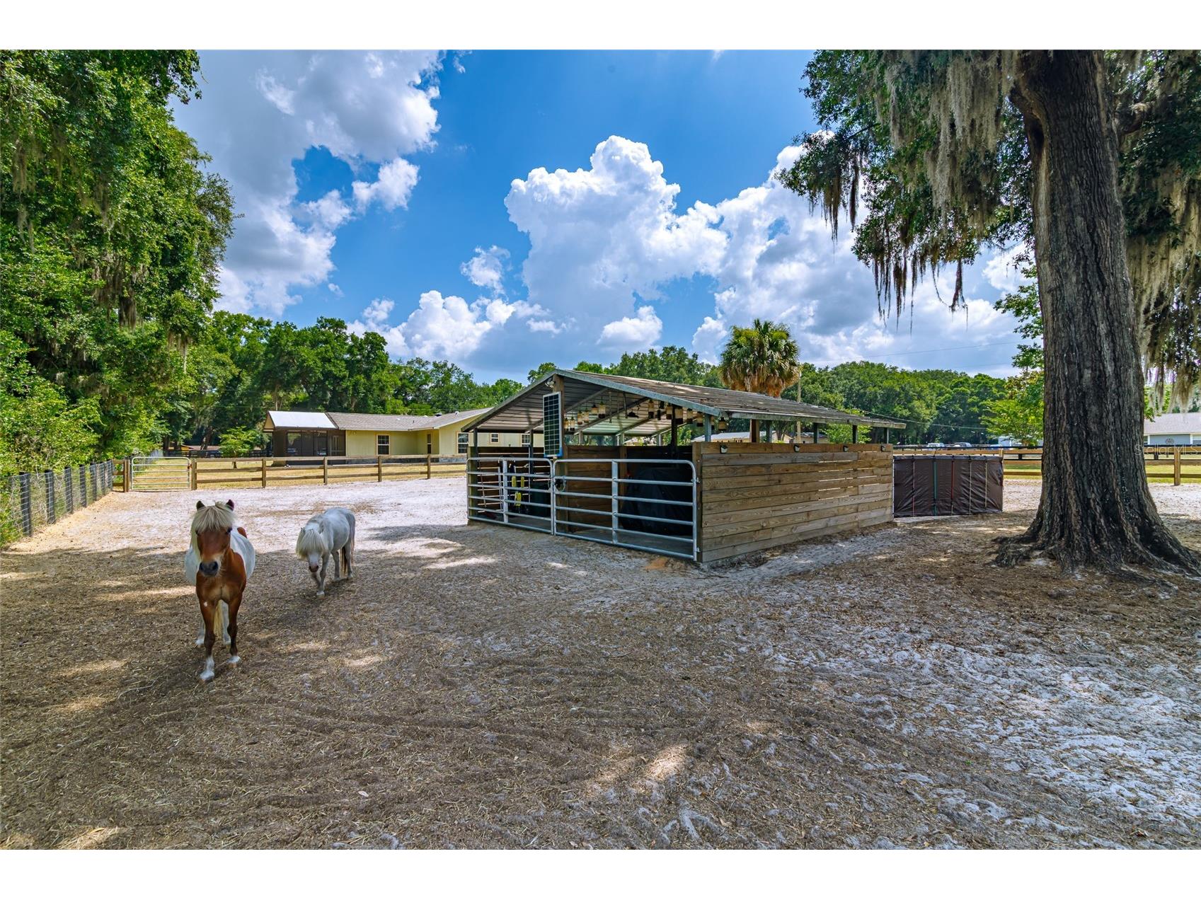 13300 NE 38th Avenue Anthony FL 32617 OM715604 image10