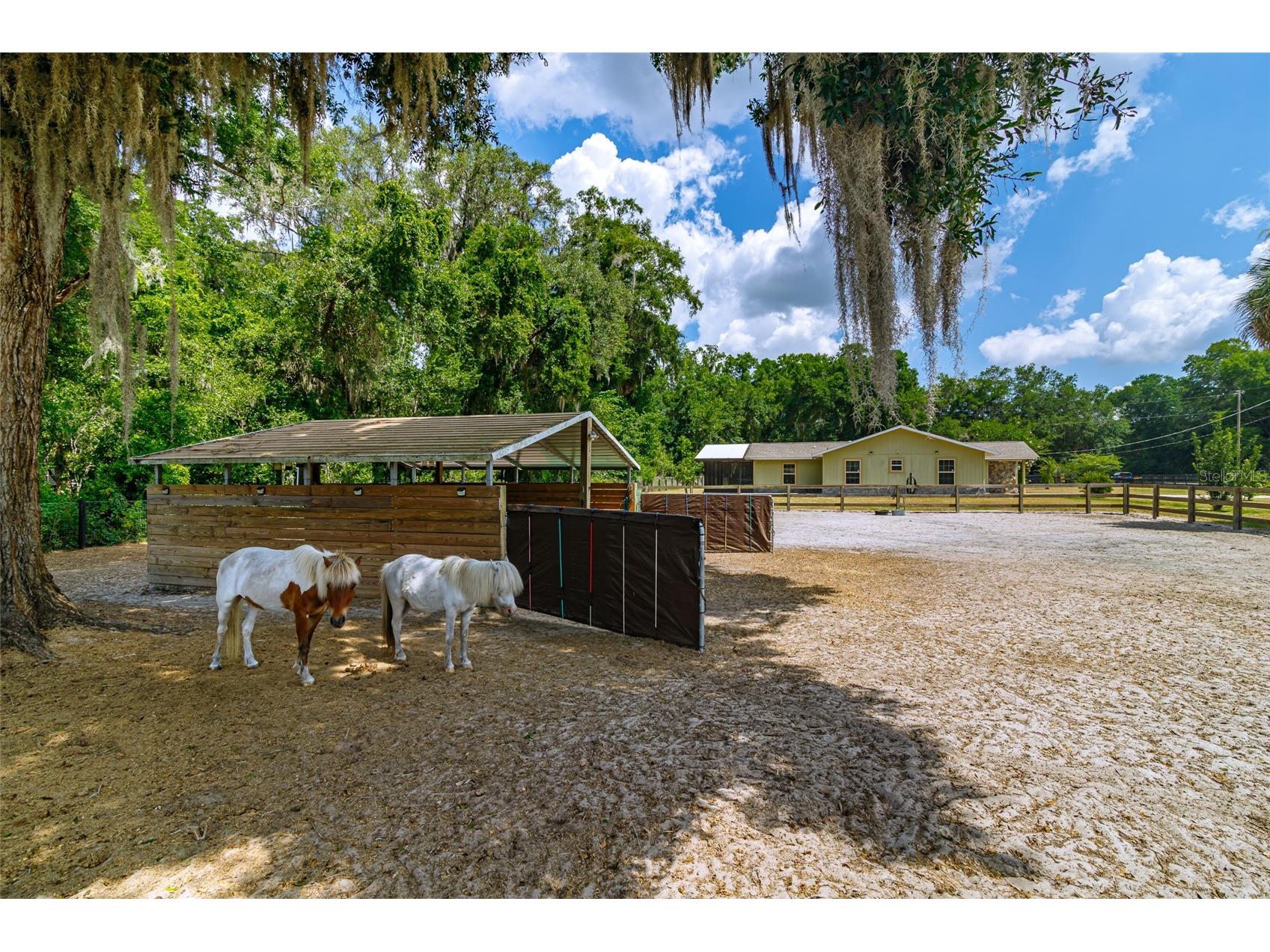 13300 NE 38th Avenue Anthony FL 32617 OM715604 image11