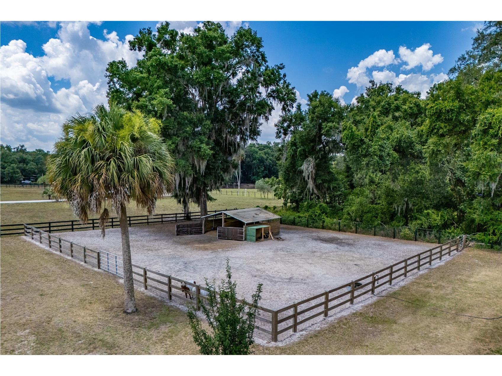 13300 NE 38th Avenue Anthony FL 32617 OM715604 image8