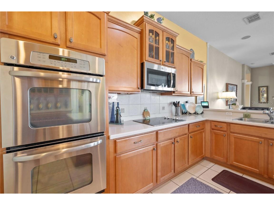 13301 Thoroughbred Drive Dade City FL 33525 TB8440016 image18