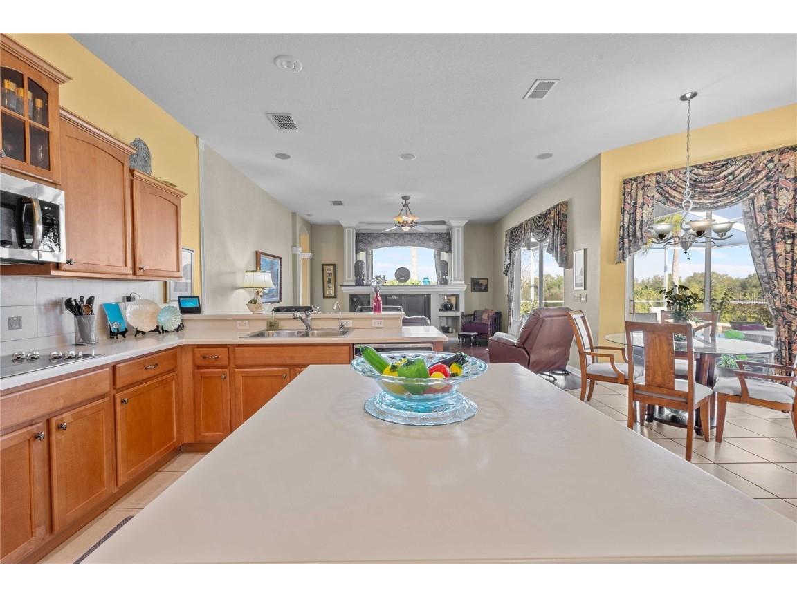 13301 Thoroughbred Drive Dade City FL 33525 TB8440016 image19