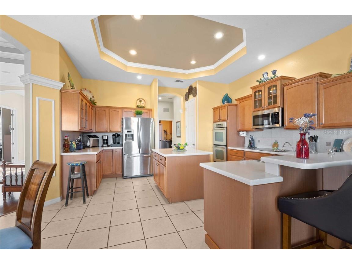 13301 Thoroughbred Drive Dade City FL 33525 TB8440016 image23