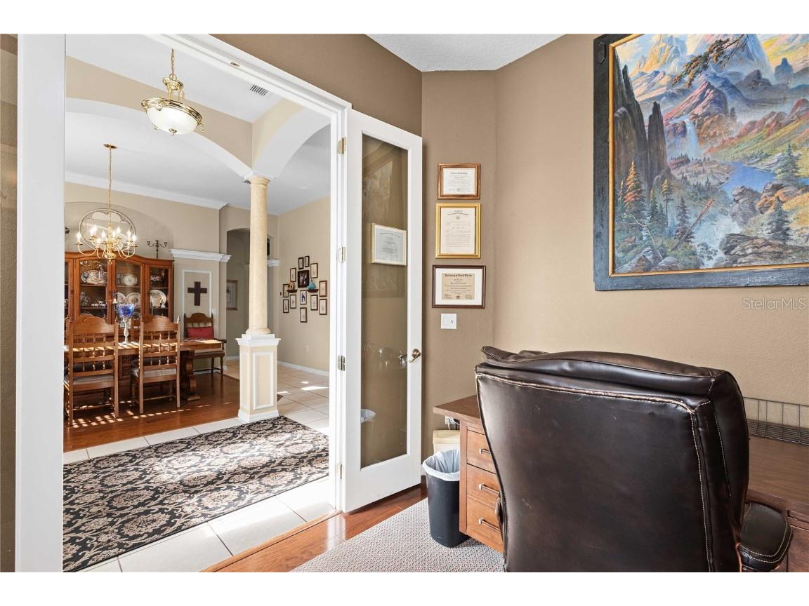 13301 Thoroughbred Drive Dade City FL 33525 TB8440016 image26