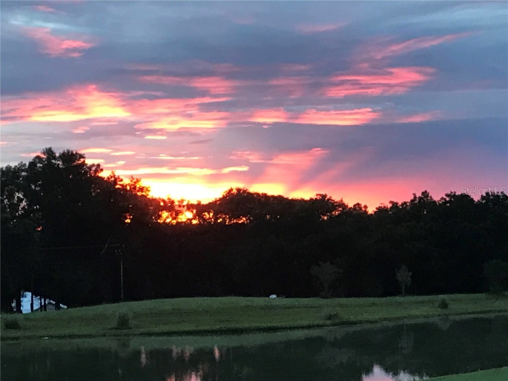 13301 Thoroughbred Drive Dade City FL 33525 TB8440016 image5