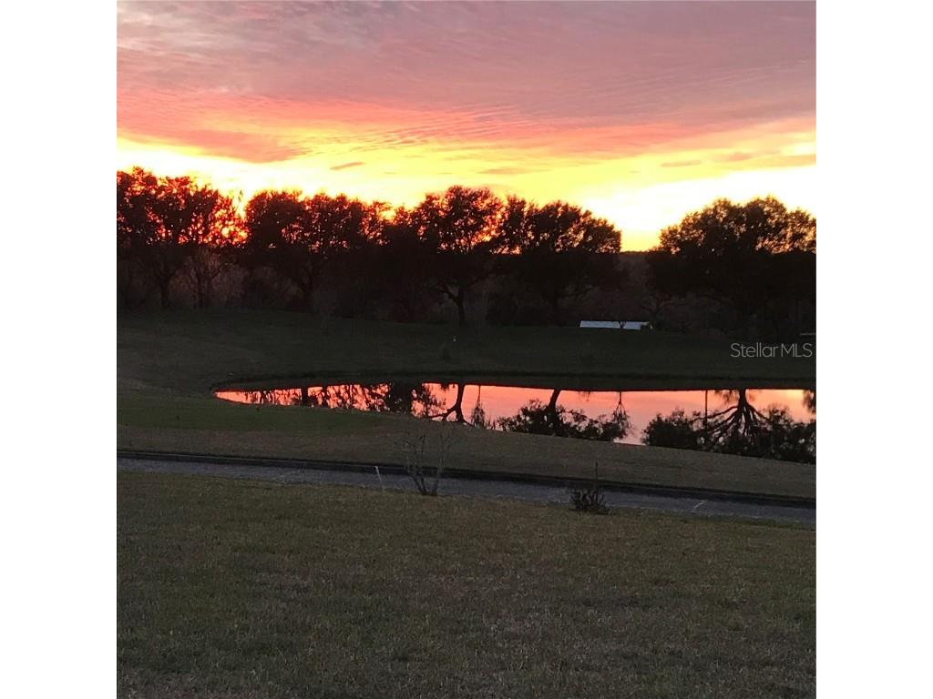 13301 Thoroughbred Drive Dade City FL 33525 TB8440016 image73