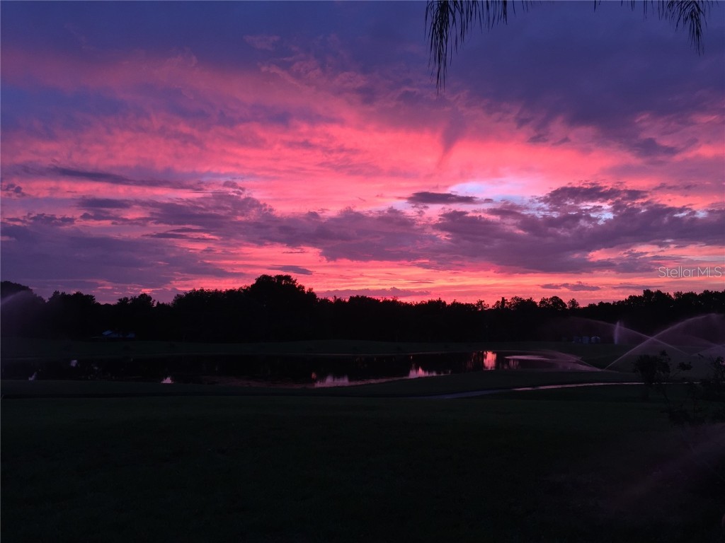 13301 Thoroughbred Drive Dade City FL 33525 TB8440016 image74