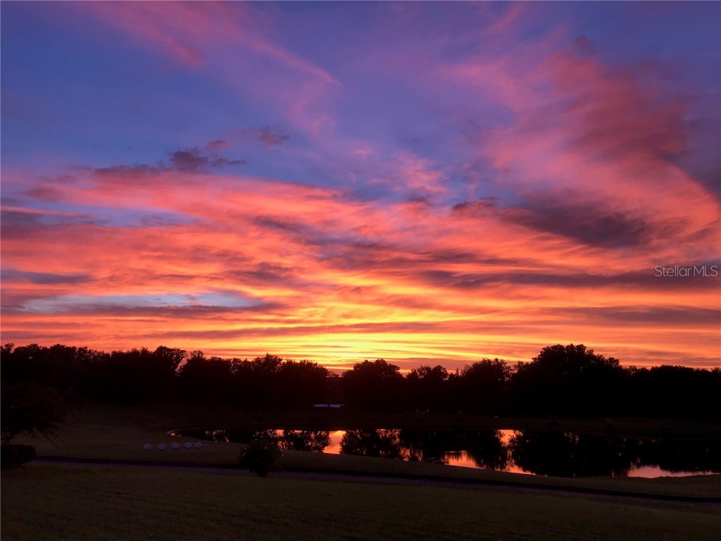 13301 Thoroughbred Drive Dade City FL 33525 TB8440016 image75