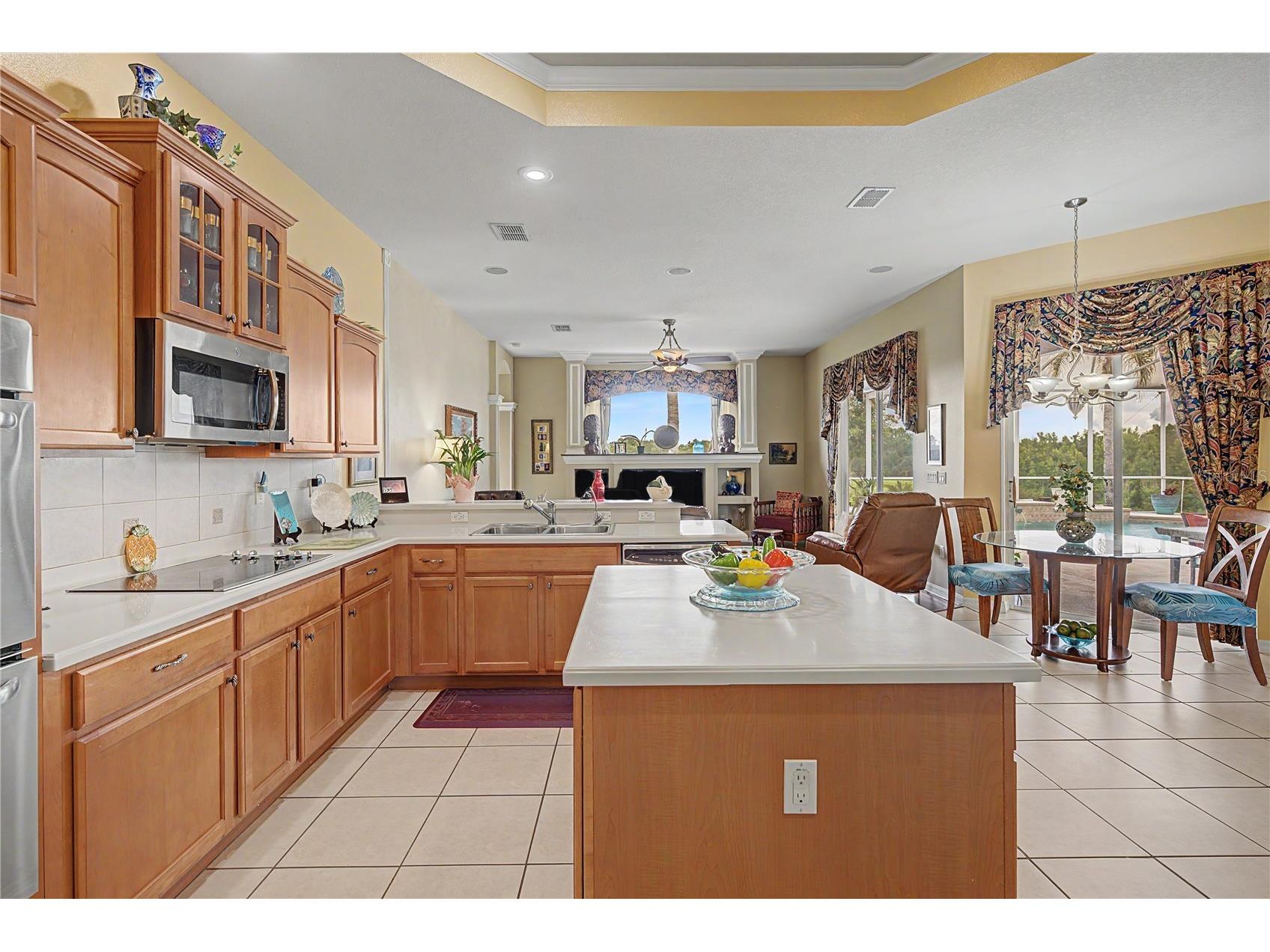 13301 Thoroughbred Drive Dade City FL 33525 TB8524967 image3