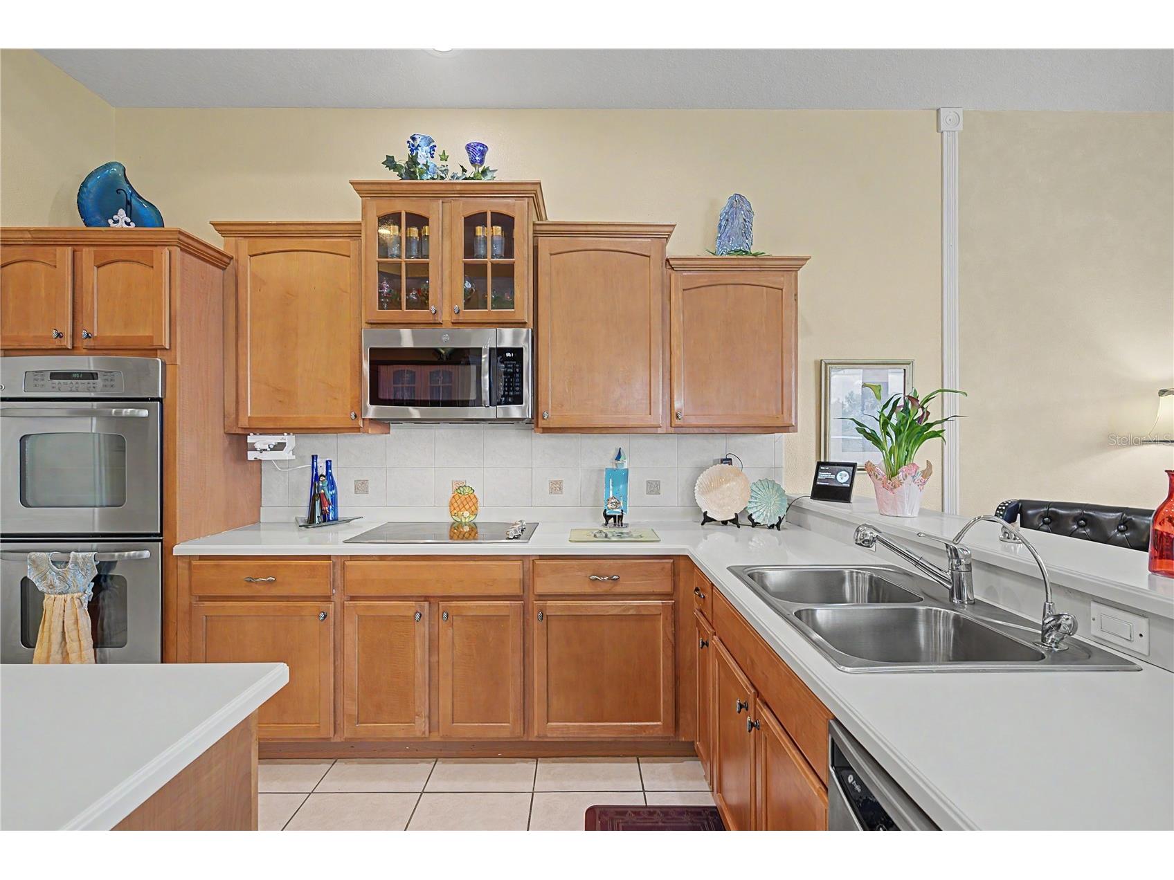 13301 Thoroughbred Drive Dade City FL 33525 TB8524967 image41
