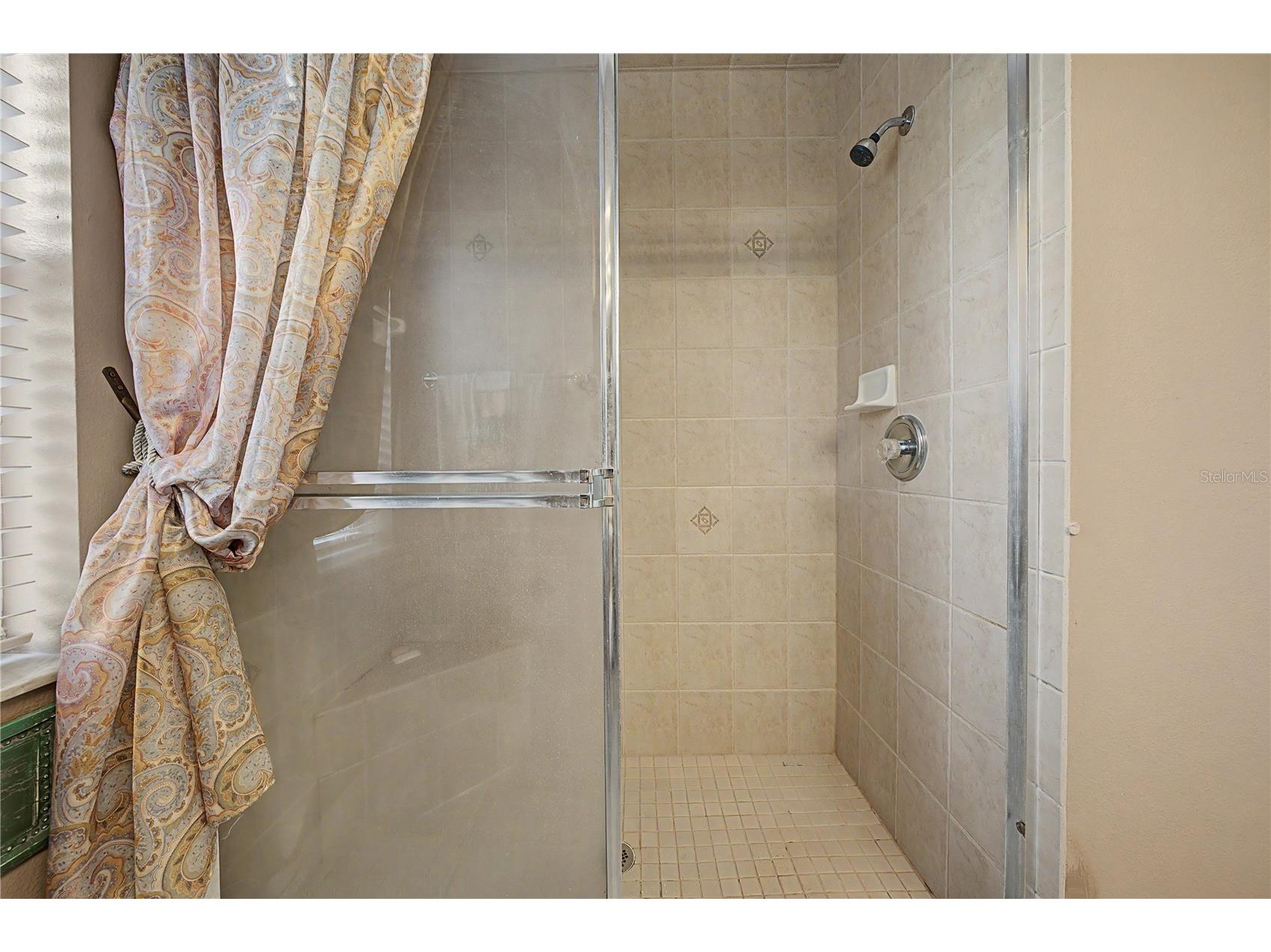 13301 Thoroughbred Drive Dade City FL 33525 TB8524967 image42