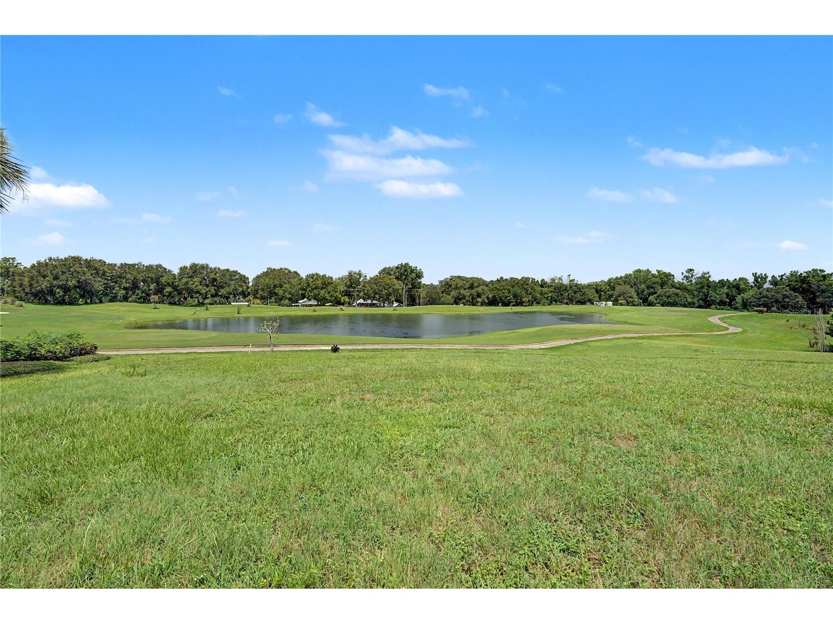 13301 Thoroughbred Drive Dade City FL 33525 TB8524967 image6