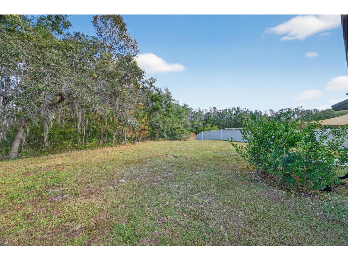 13302 Marble Sands Court Hudson FL 34669 TB8450664 image29