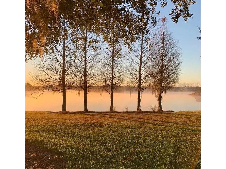 13302 Marble Sands Court Hudson FL 34669 TB8450664 image33