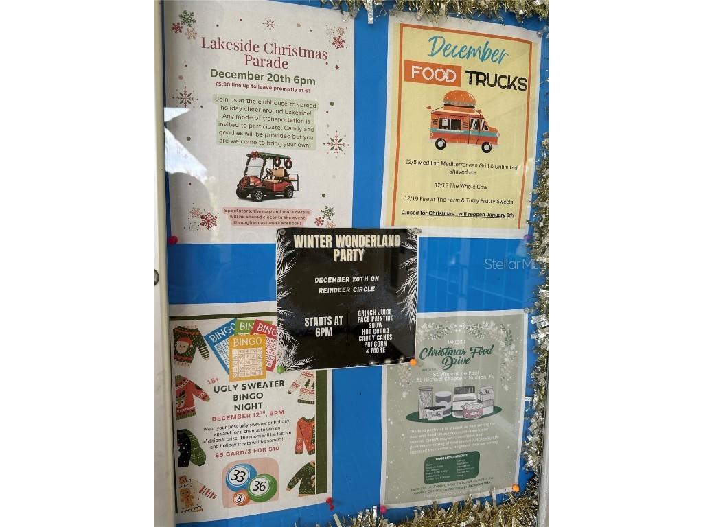 13302 Marble Sands Court Hudson FL 34669 TB8450664 image40