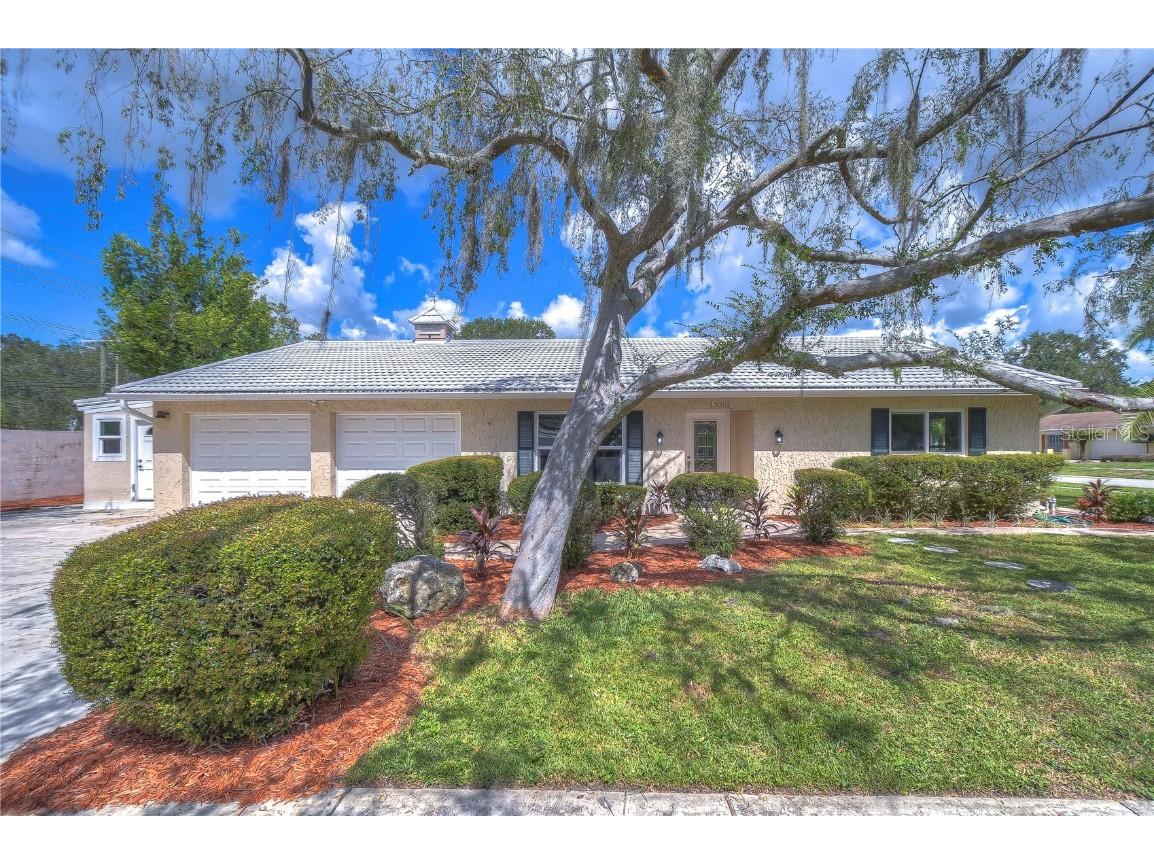 13302 Moran Drive Tampa FL 33618 T3476469 image1