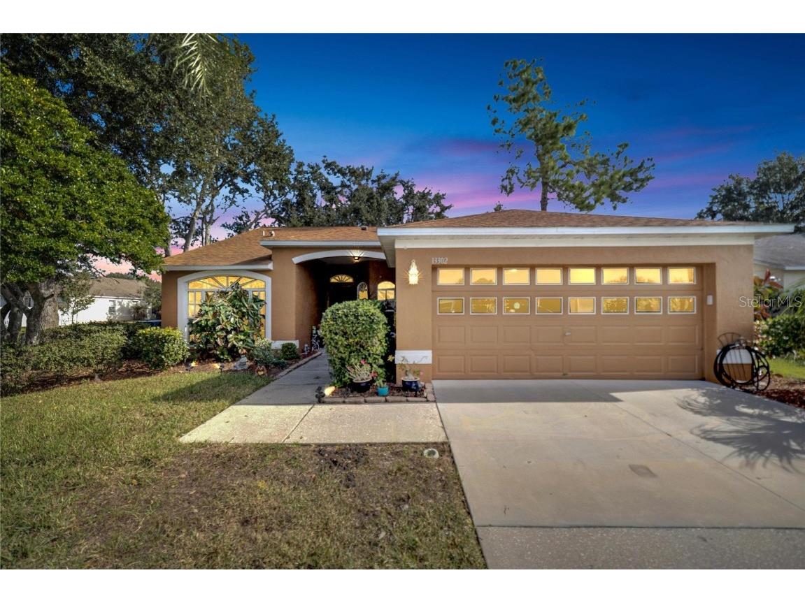 13302 Silvercreek Drive Riverview FL 33579 T3484259 image1