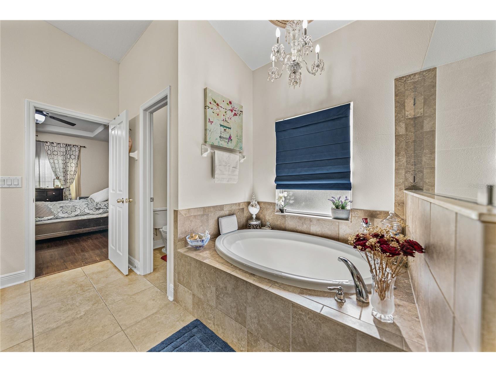 13302 Trailing Moss Drive Dade City FL 33525 TB8464521 image43