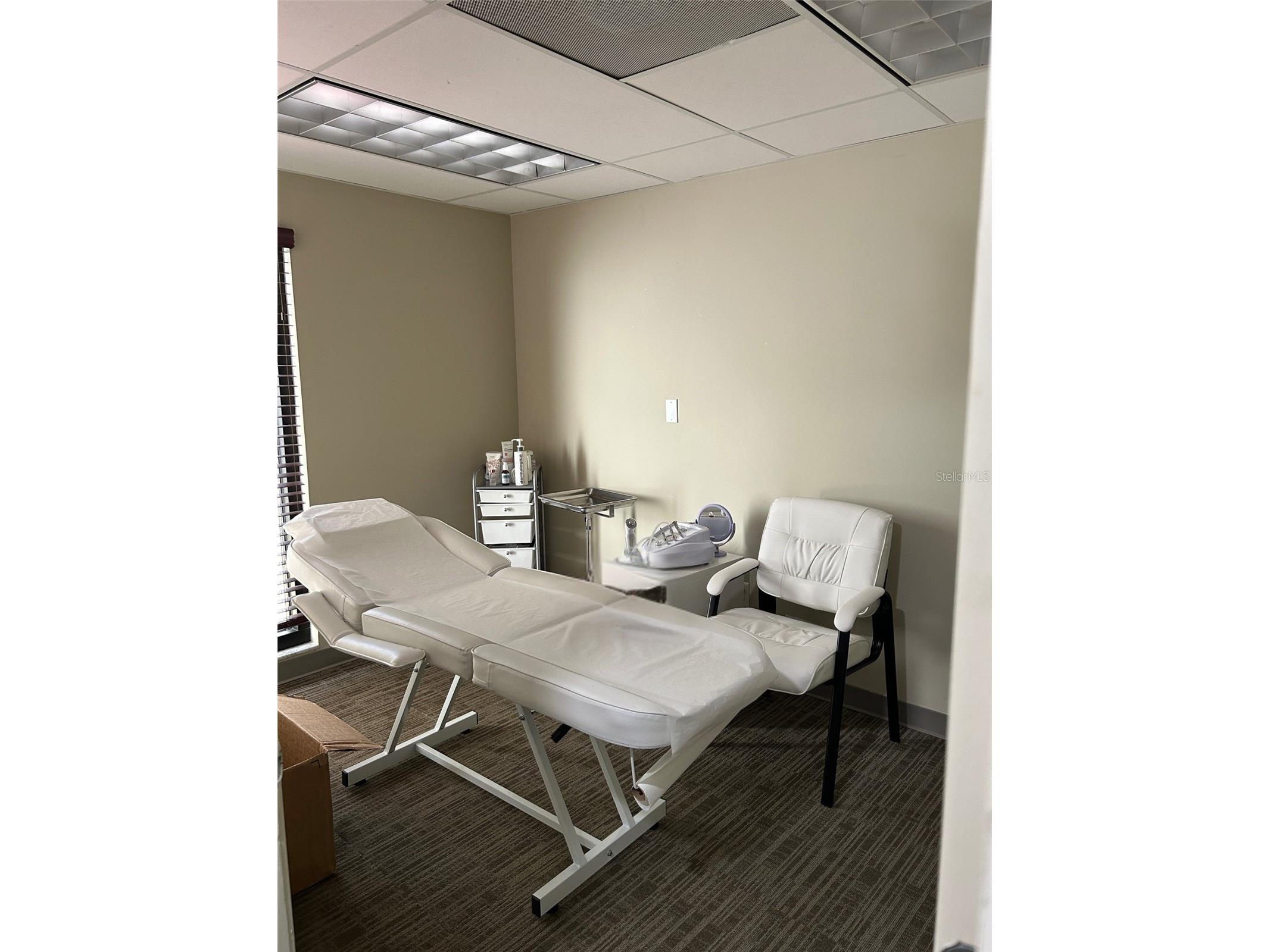 13302 Winding Oak Court Tampa FL 33612 TB8471621 image7