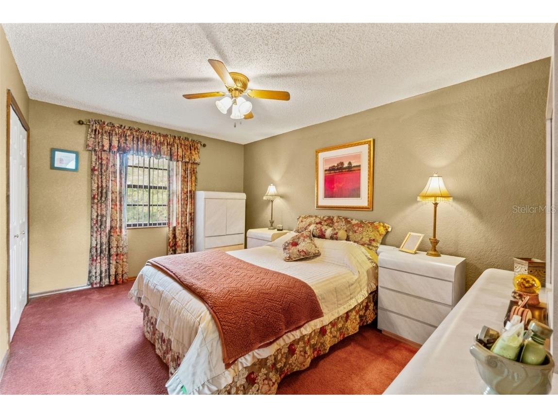 13303 Don Loop Spring Hill FL 34609 TB8446589 image40