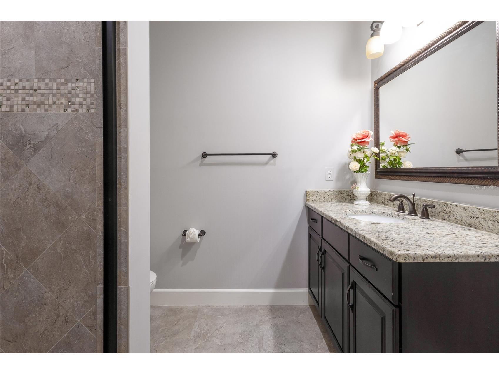 13304 Bellaria Circle Windermere FL 34786 O6391558 image56