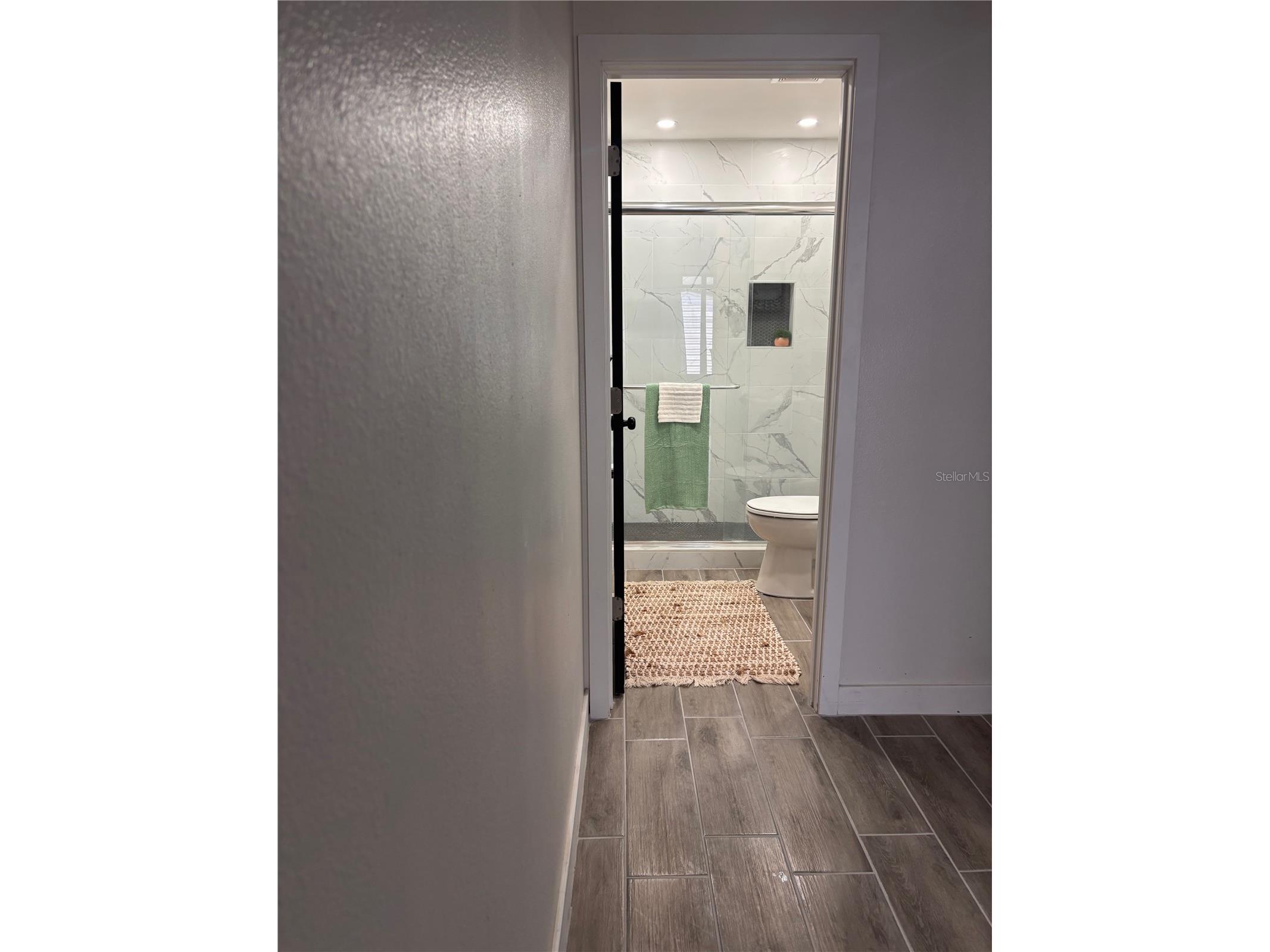 13304 Laraway Drive Riverview FL 33579 TB8517135 image36