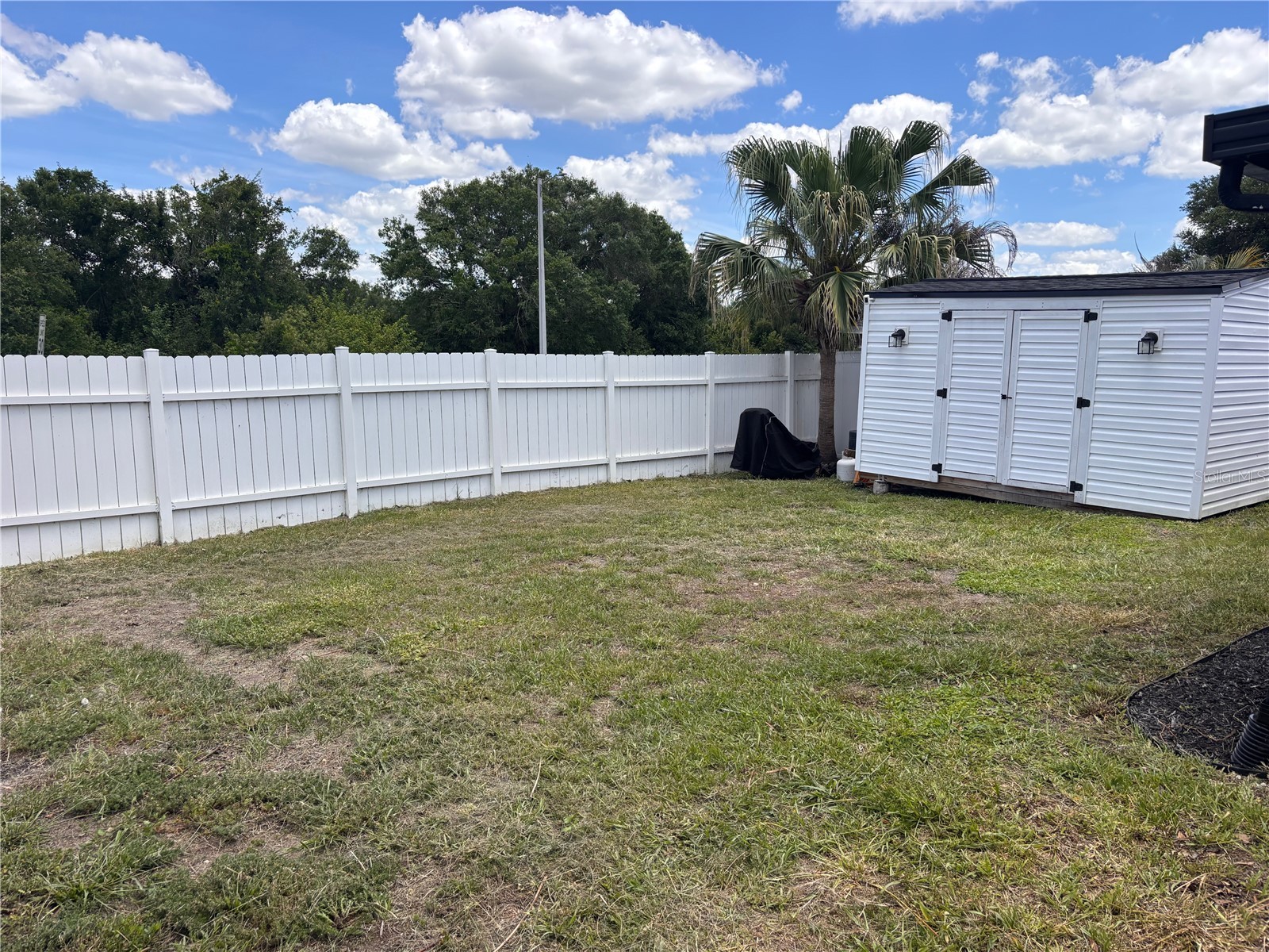 13304 Laraway Drive Riverview FL 33579 TB8517135 image52