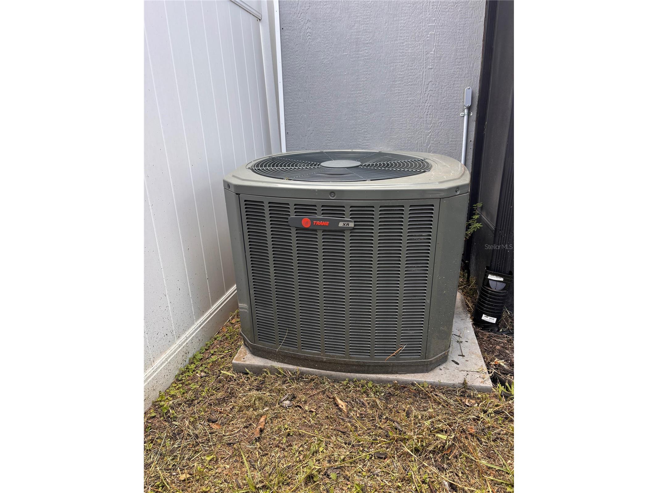 13304 Laraway Drive Riverview FL 33579 TB8517135 image57