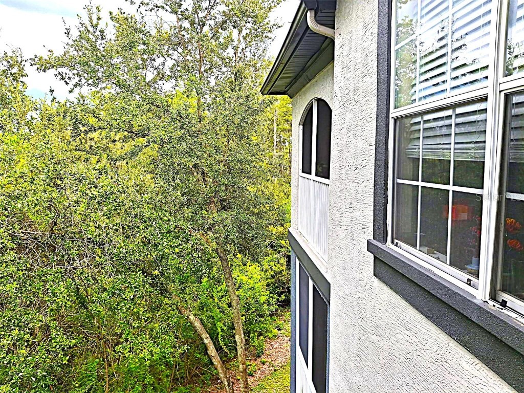 13304 Sanctuary Cove Drive #303 Temple Terrace FL 33637 TB8415881 image14