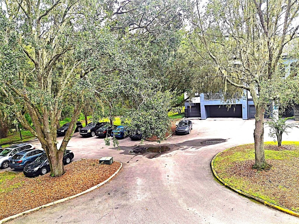 13304 Sanctuary Cove Drive #303 Temple Terrace FL 33637 TB8415881 image25