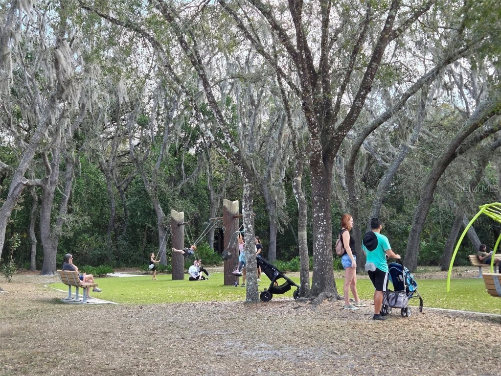 13304 Sanctuary Cove Drive #303 Temple Terrace FL 33637 TB8415881 image43