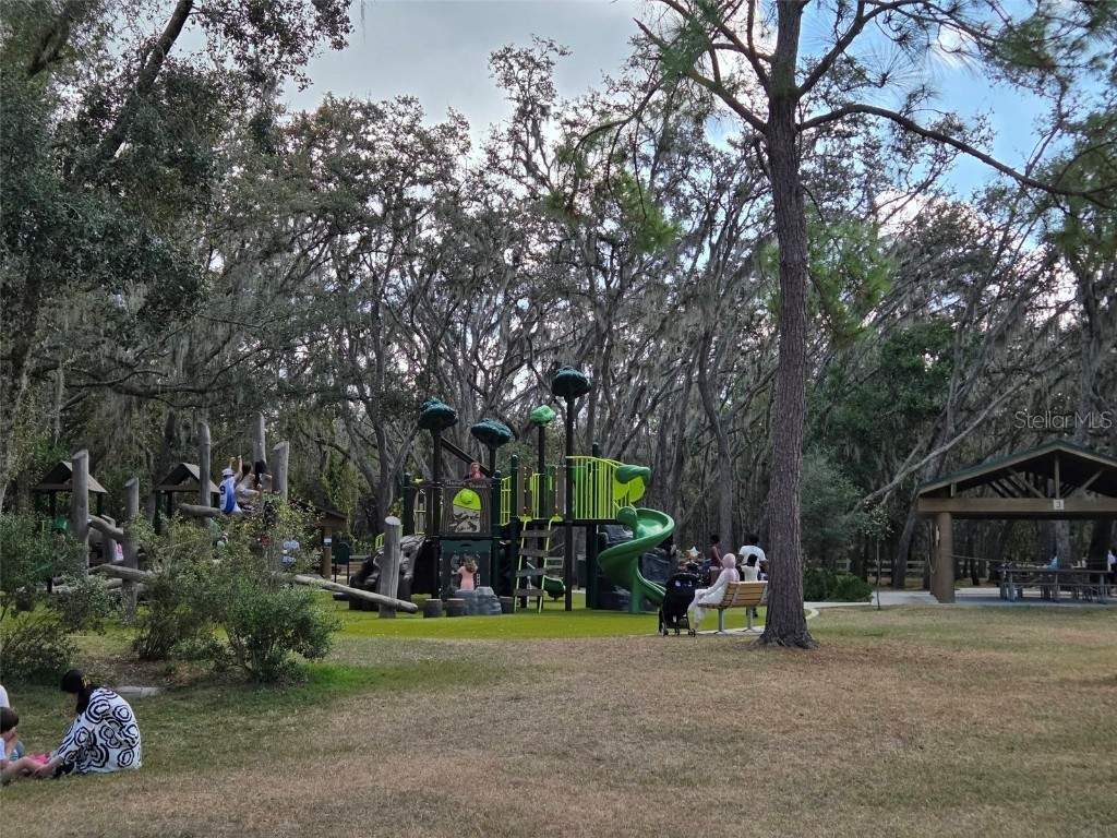 13304 Sanctuary Cove Drive #303 Temple Terrace FL 33637 TB8415881 image45