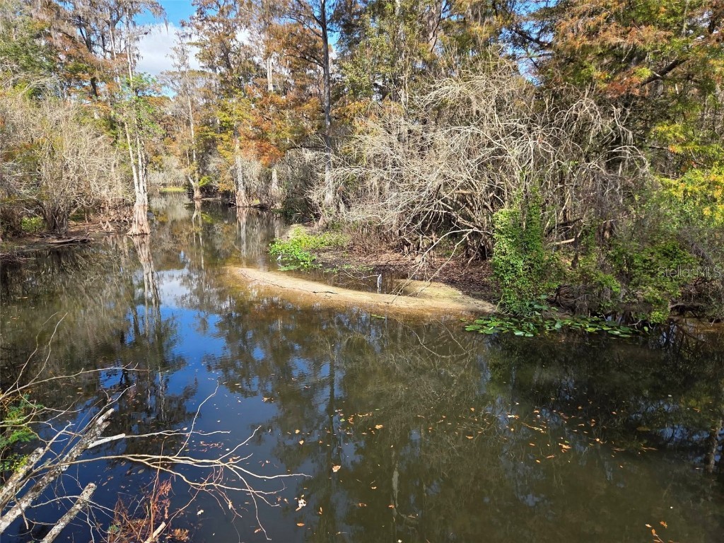 13304 Sanctuary Cove Drive #303 Temple Terrace FL 33637 TB8415881 image46