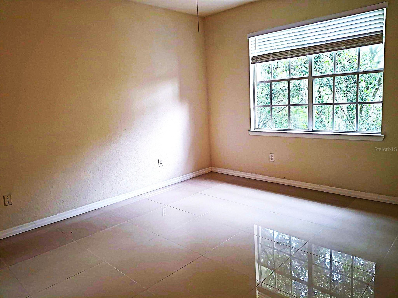 13304 Sanctuary Cove Drive #303 Temple Terrace FL 33637 TB8487541 image23