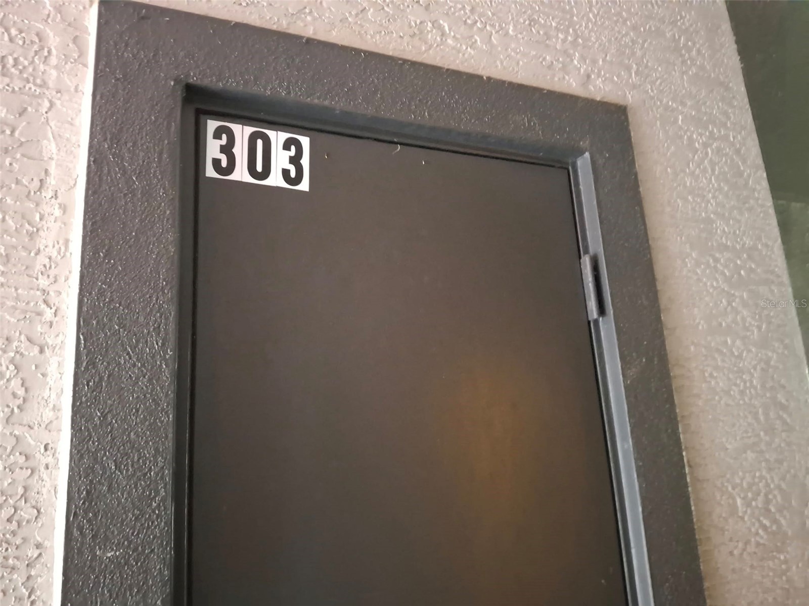 13304 Sanctuary Cove Drive #303 Temple Terrace FL 33637 TB8487541 image26