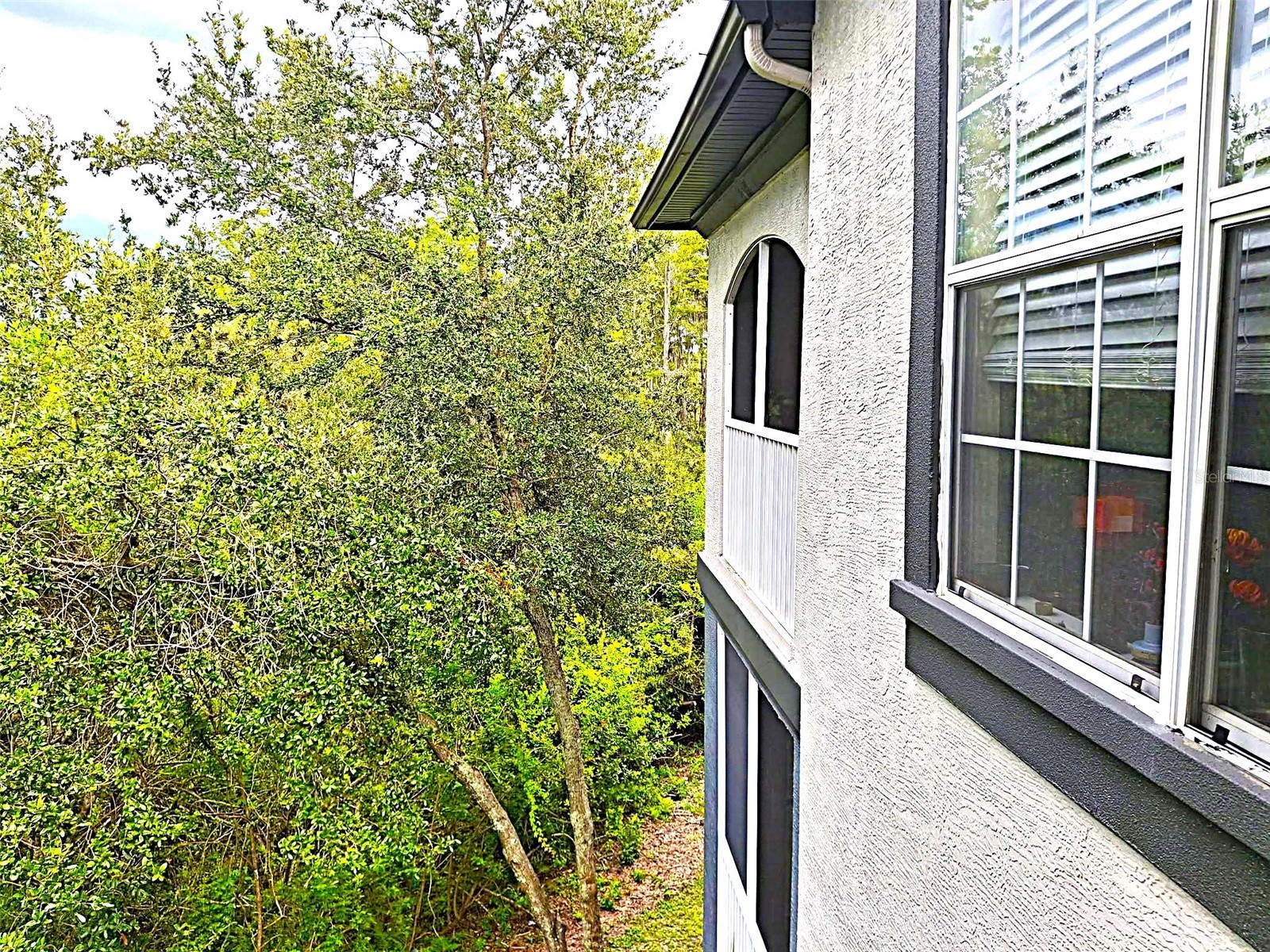 13304 Sanctuary Cove Drive #303 Temple Terrace FL 33637 TB8487541 image27