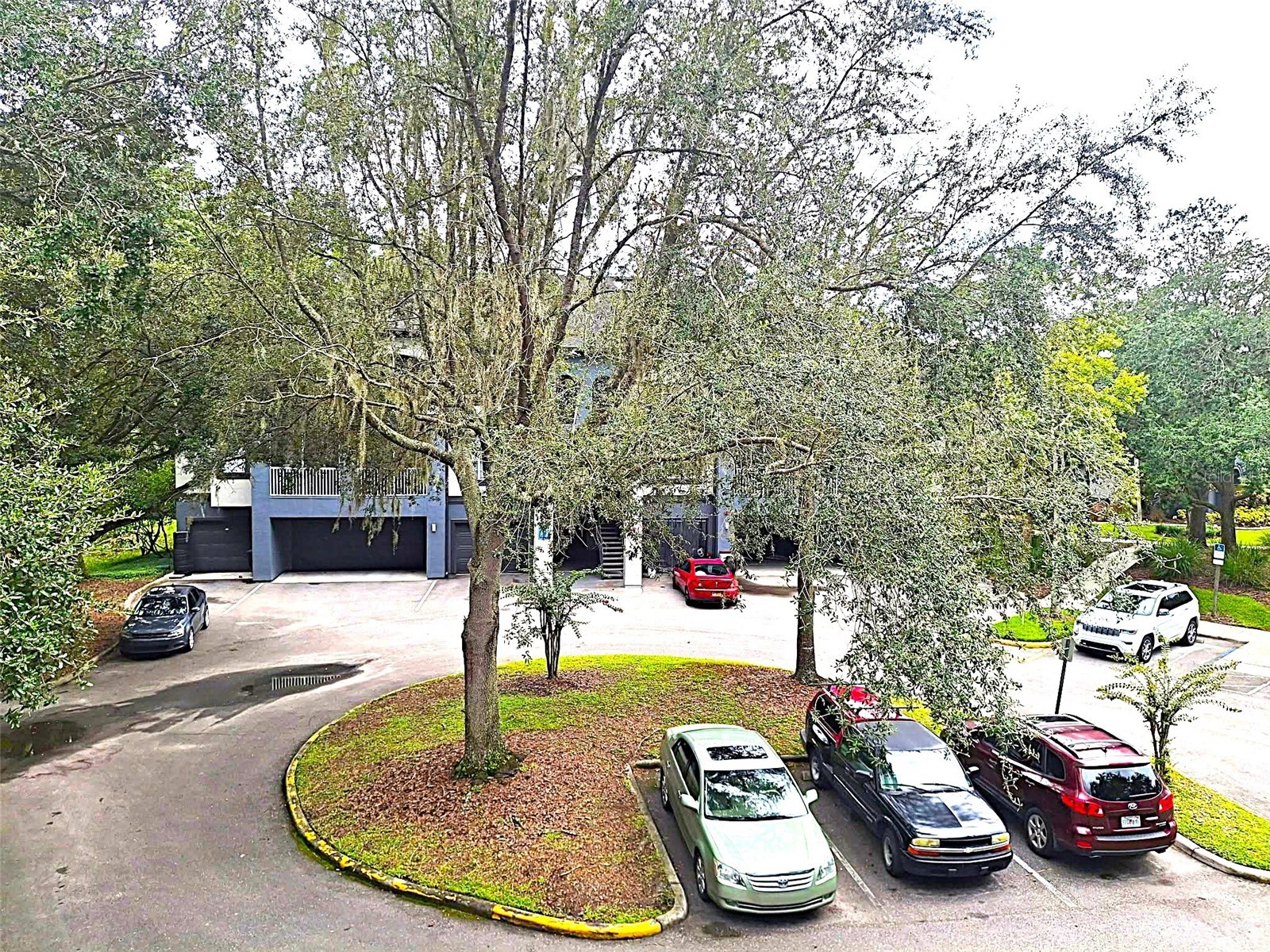 13304 Sanctuary Cove Drive #303 Temple Terrace FL 33637 TB8487541 image28