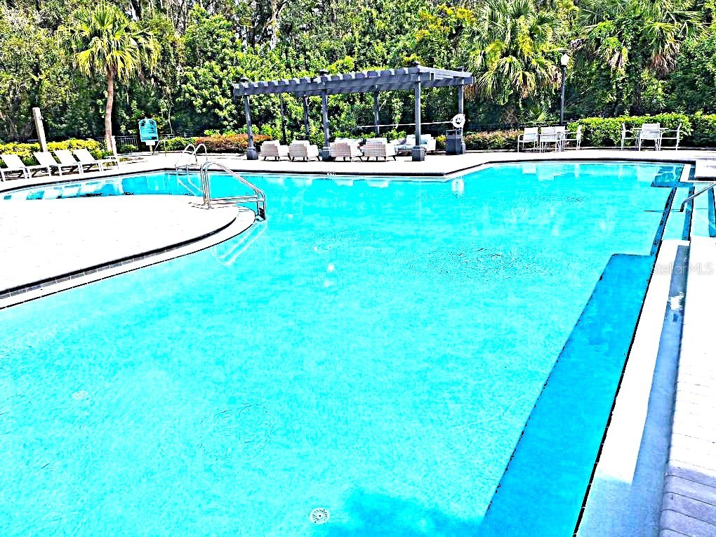 13304 Sanctuary Cove Drive #303 Temple Terrace FL 33637 TB8487541 image48