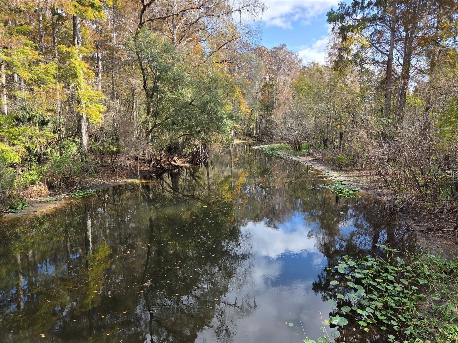 13304 Sanctuary Cove Drive #303 Temple Terrace FL 33637 TB8487541 image55