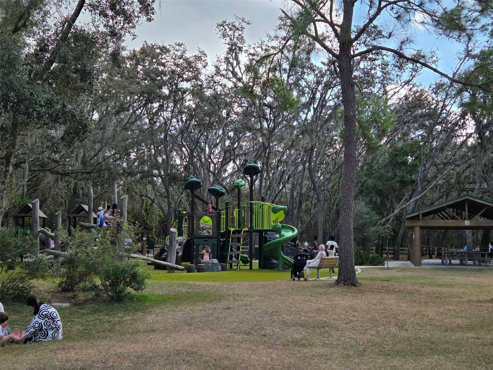 13304 Sanctuary Cove Drive #303 Temple Terrace FL 33637 TB8487541 image56