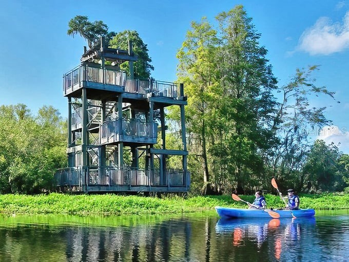 13304 Sanctuary Cove Drive #303 Temple Terrace FL 33637 TB8487541 image58